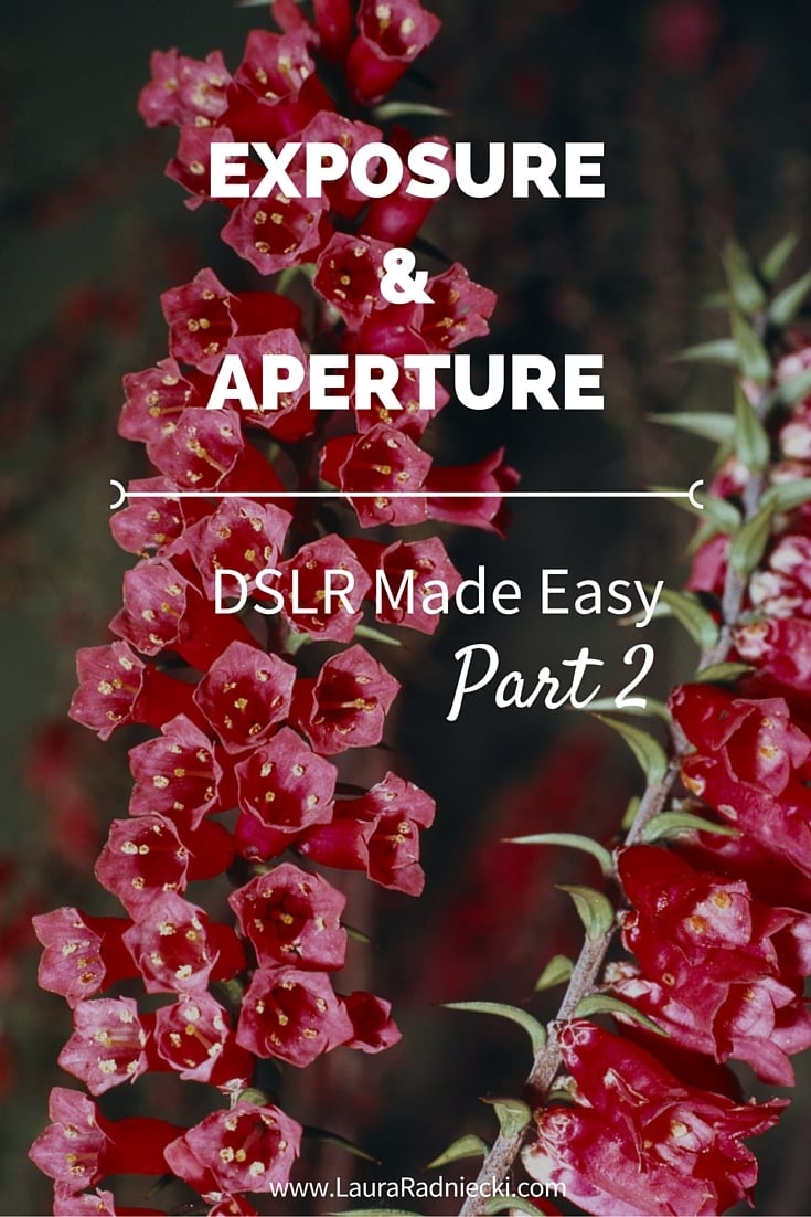 DSLR Made Easy- Part 2 - Exposure and Aperture