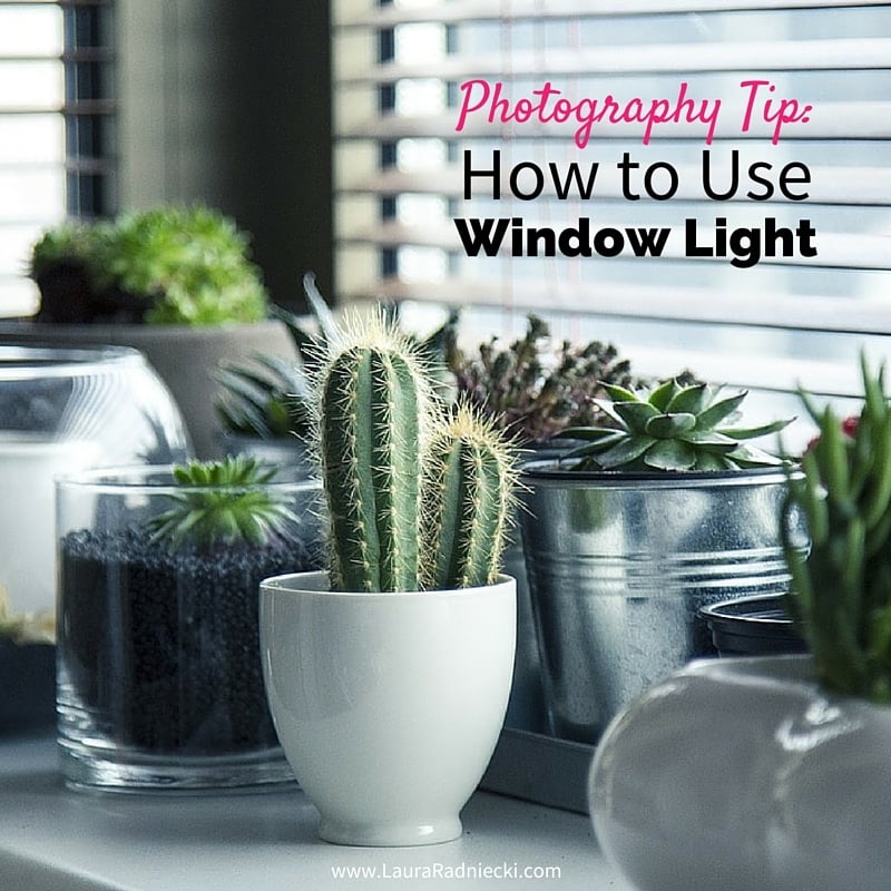Photography Tip- How to Use Window Light