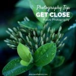 Photography Tip- Get Close - Macro Photography