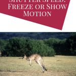 Use Shutter Speed to Freeze or Show Motion | Photography Tip