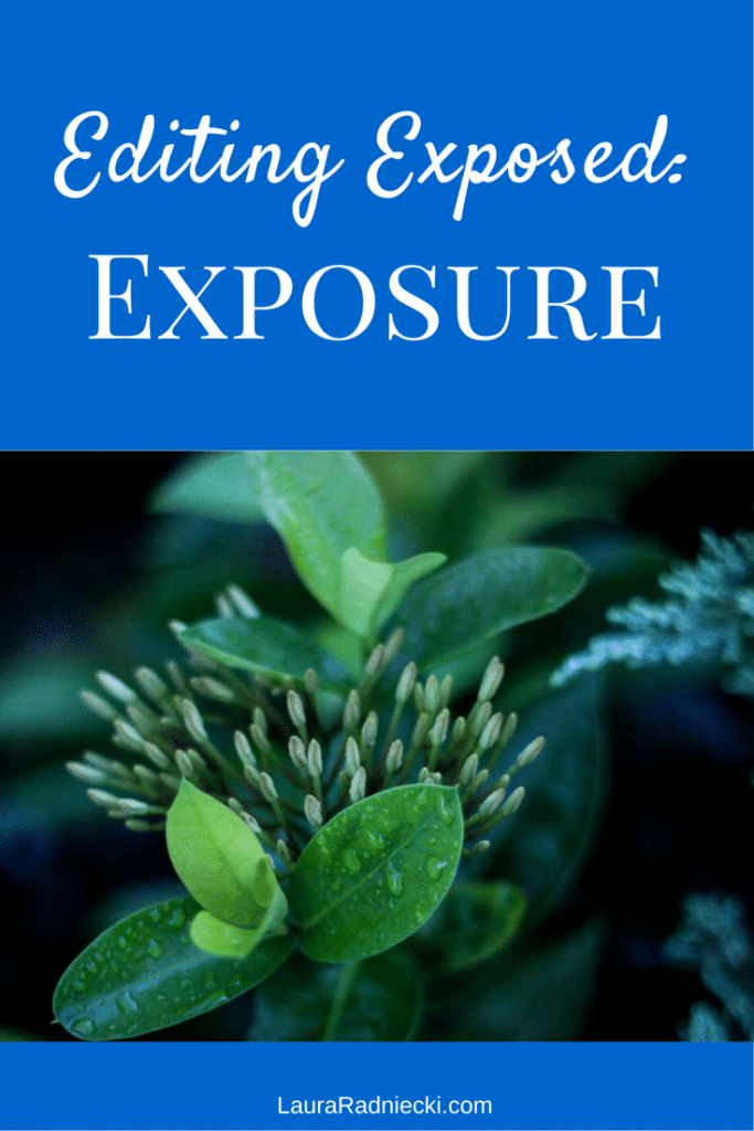 Editing Exposed - Exposure | Photography Tips and Information by Laura Radniecki
