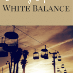 Editing Exposed - White Balance | Photography Tips and Tutorials by Laura Radniecki