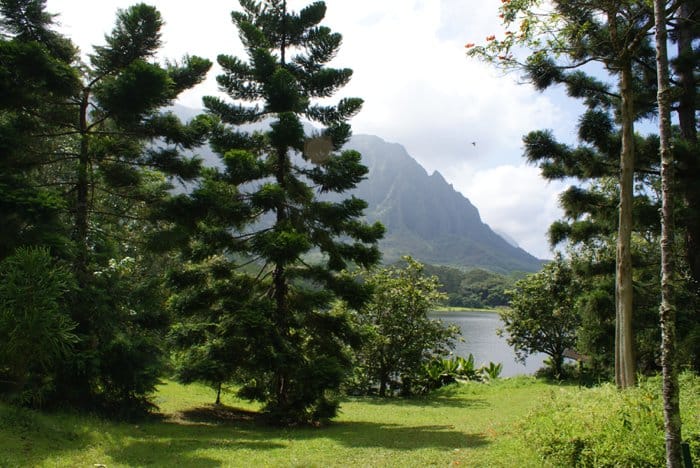 Hoomaluhia Botanical Gardens on Oahu, Hawaii by Laura Radniecki