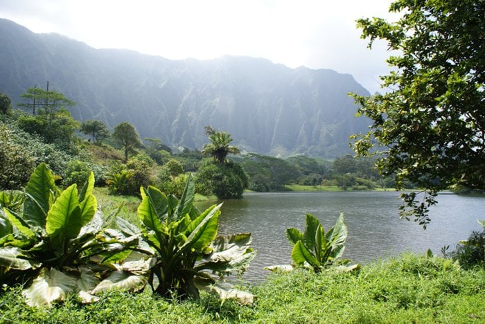 Hoomaluhia Botanical Gardens on Oahu, Hawaii by Laura Radniecki