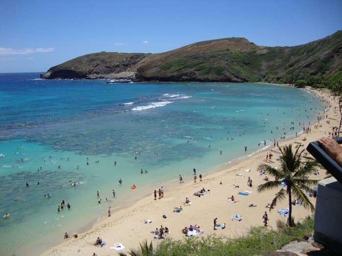 Haunauma Bay Snorkeling on Oahu, Hawaii by Laura Radniecki