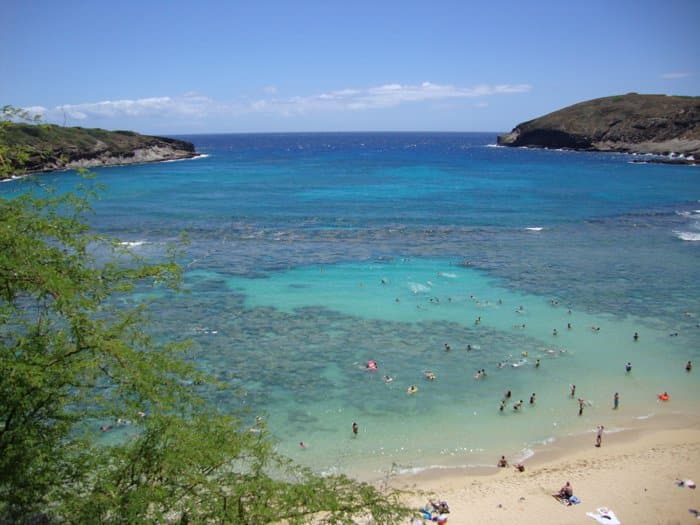 Haunauma Bay Snorkeling on Oahu, Hawaii by Laura Radniecki