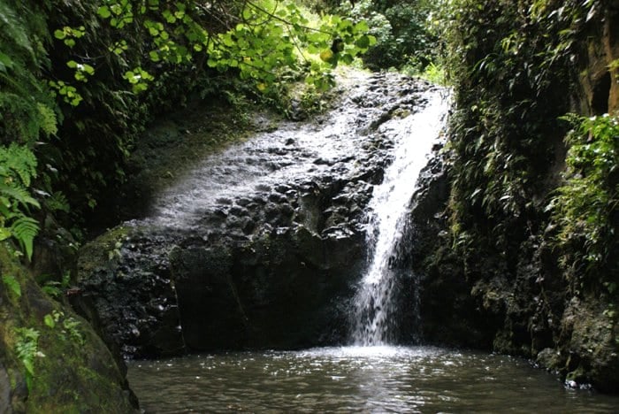 Maunawili Falls on Oahu, Hawaii by Laura Radniecki