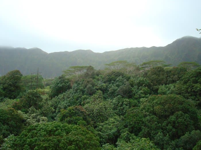 Hoomaluhia Botanical Gardens on Oahu,Maunawili Falls on Oahu, Hawaii by Laura Radniecki