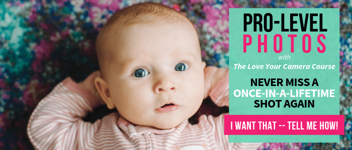 Learn how to use your camera and take professional-level photos with The Love Your Camera Course | Beginner Photography Tips