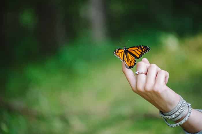 The Beginning of A Faith Awakening