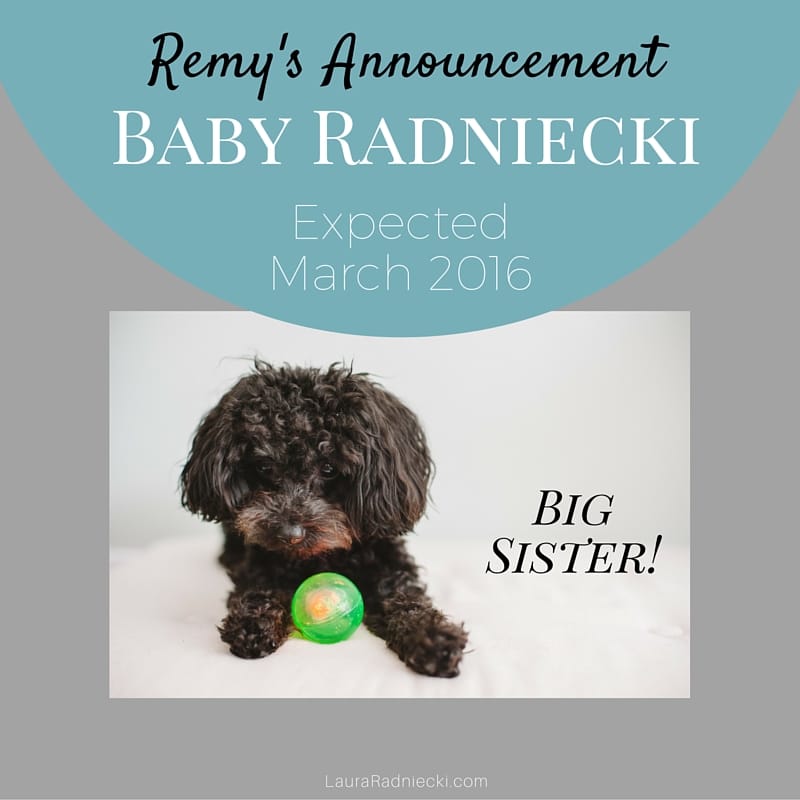 Remy’s Big Announcement