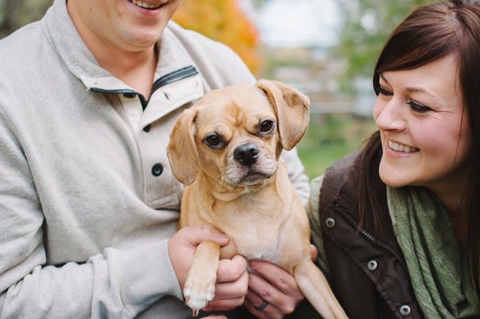 Fargo Family | Brainerd MN Pet Photography | Laura Radniecki | Brainerd MN Pet Photographer