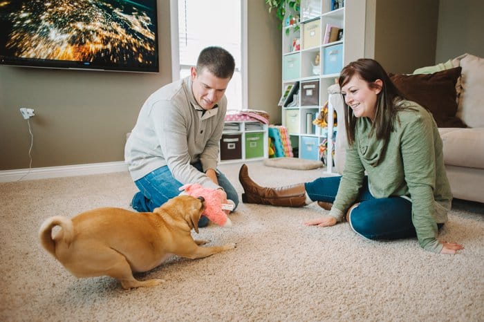 Fargo Family | Brainerd MN Pet Photography | Laura Radniecki | Brainerd MN Pet Photographer