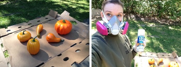 DIY Fall Pumpkins and Gourds - A Tutorial | Spray Paint Pumpkins | Fall decor ideas, fall decorations, fall decor porch, fall decor DIY, fall pumpkins decor