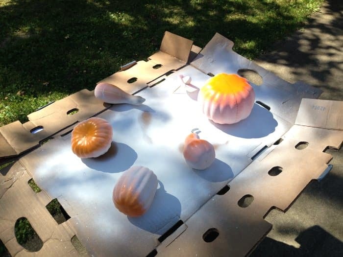 Five orange fake pumpkins and gourds being sprayed with white spray primer.