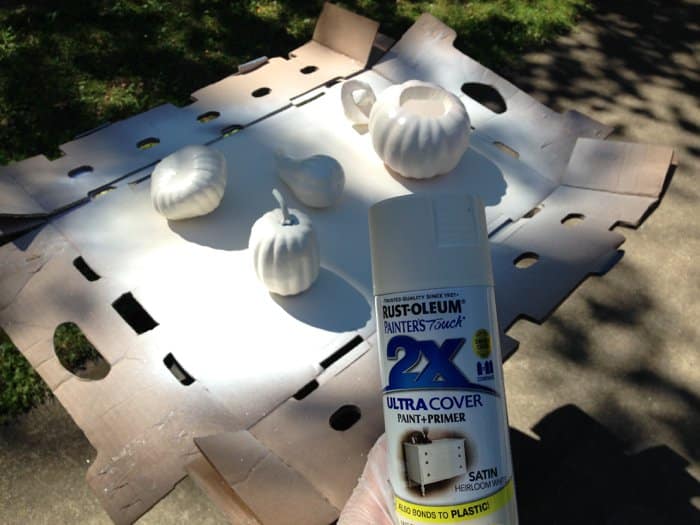 White spray paint ready to coat fake plastic pumpkins and gourds with paint.