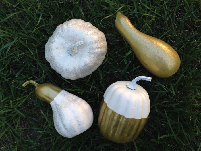 spray painted pumpkins and gourds for fall