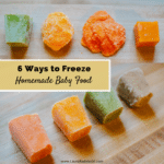 6 Ways to Freeze Homemade Baby Food Purees | Nuby Garden Fresh Freezer Tray