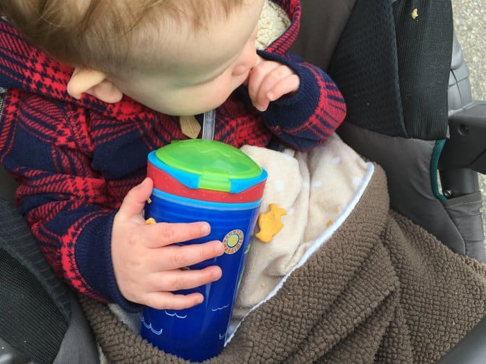 Spring has sprung! | Nuby Fruitsicles Popsicles and Snack N' Sip Cup | Product Reviews by Laura Radniecki