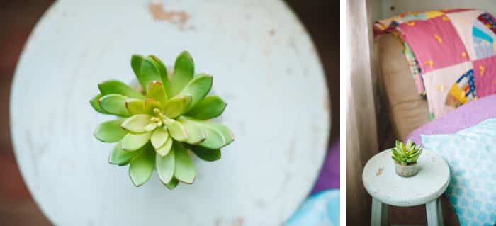 Sometimes fake is best | Home decor with artificial plants | Silk Plants Product Review | Hedgescape Review