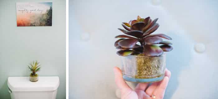 Sometimes fake is best | Home decor with artificial plants | Silk Plants Product Review | Hedgescape Review