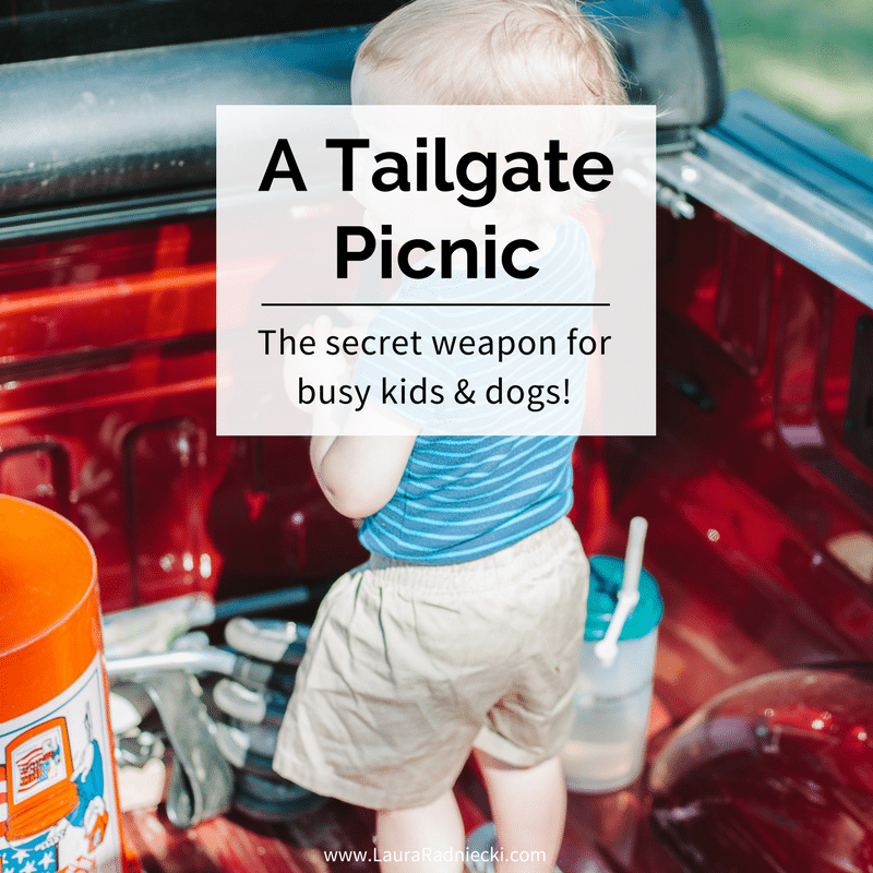 A Tailgate Picnic - A Cornerstone of Our Summer - The secret weapon for having a picnic with busy kids and dogs.
