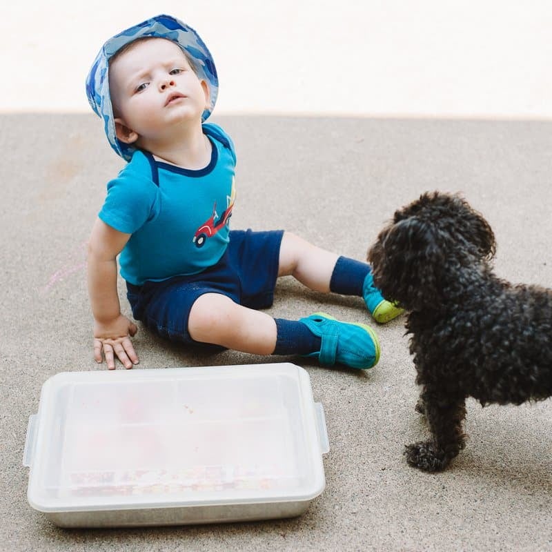 Crafting with a Toddler and a Dog – The Outtakes