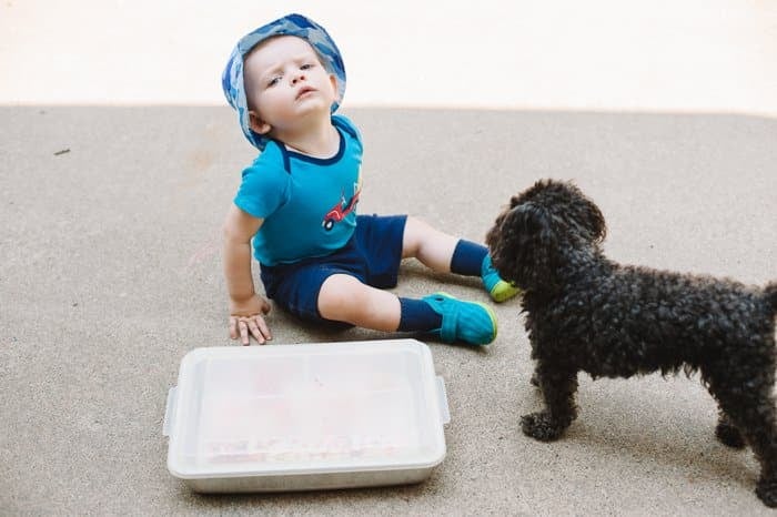 Crafting with a Toddler and a Dog - The Outtakes