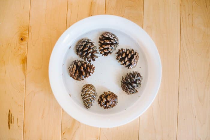 How to Clean Pinecones