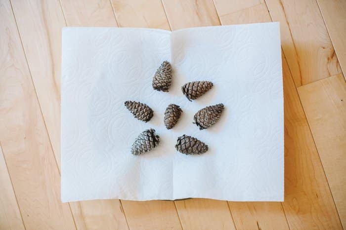 How to clean pinecones