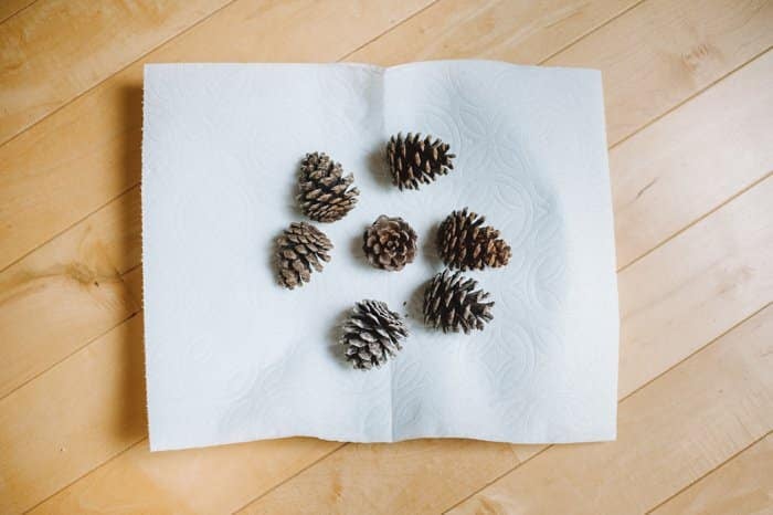 How to prepare pine cones for crafts