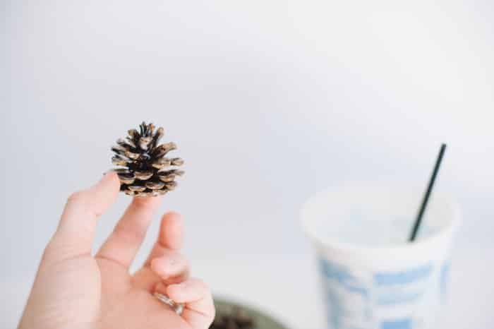 Pinecone craft ideas