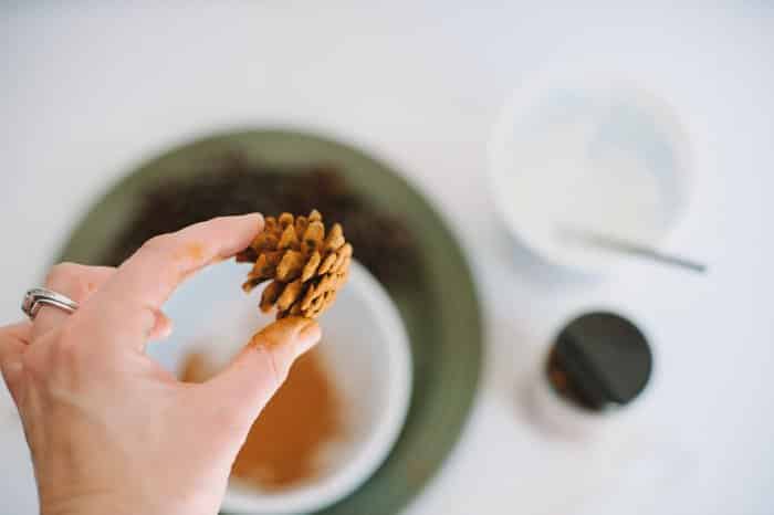 Pinecone Christmas craft idea