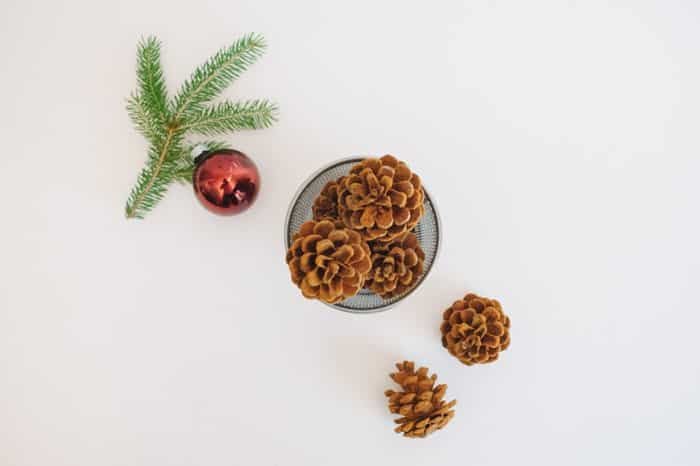 Christmas Crafts with Pine Cones