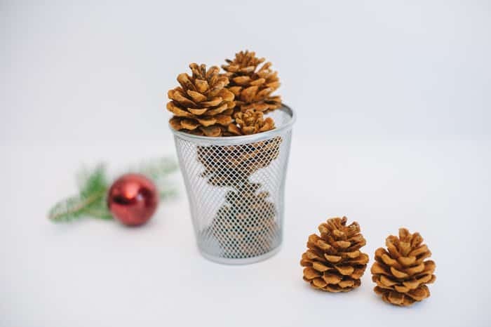 How to make cinnamon pinecones | Holiday and Christmas Pinecone Crafts