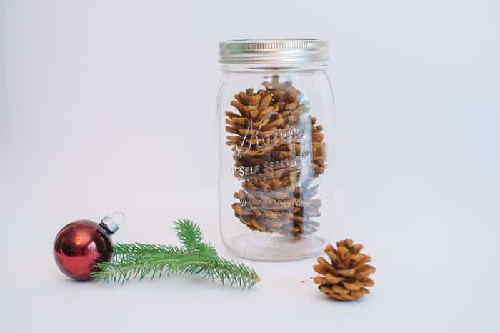 Christmas Pine Cone Crafts