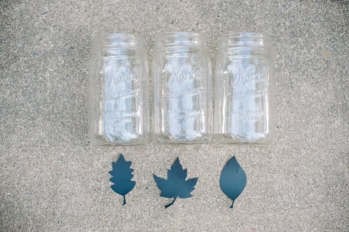 DIY vinyl leaf decals