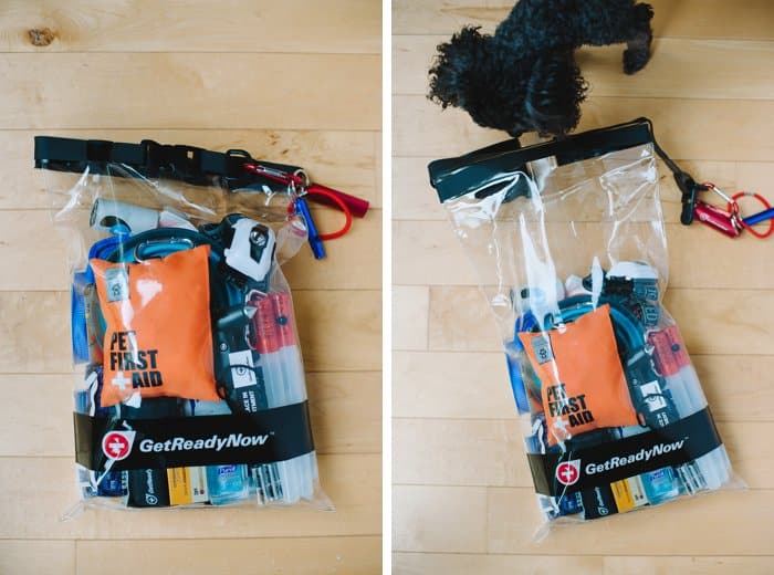 Winter is coming; you need to be prepared on the road! Tips for winter preparedness for people and pets, with Get Ready Now Road Pups & Peeps Road Pack.