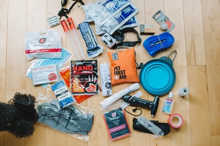 Winter is coming; you need to be prepared on the road! Tips for winter preparedness for people and pets, with Get Ready Now Road Pups & Peeps Road Pack.