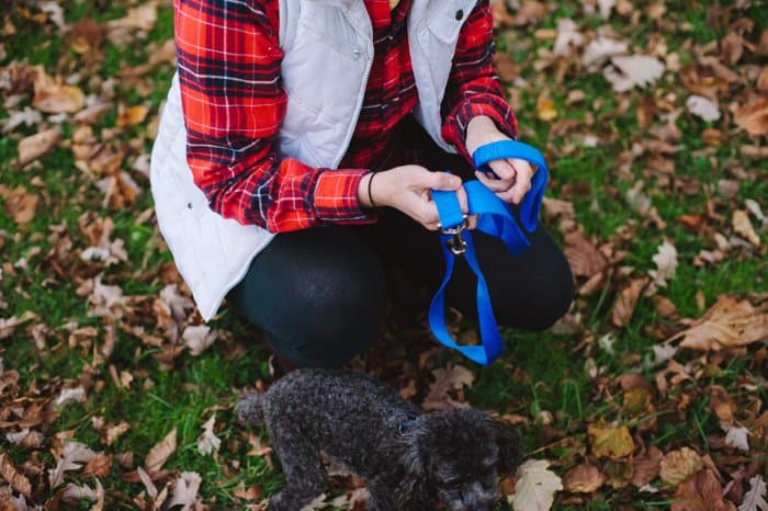 Winter is coming; you need to be prepared on the road! Tips for winter preparedness for people and pets, with Get Ready Now Road Pups & Peeps Road Pack.