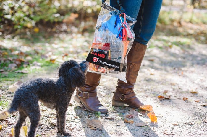 Winter is coming; you need to be prepared on the road! Tips for winter preparedness for people and pets, with Get Ready Now Road Pups & Peeps Road Pack.