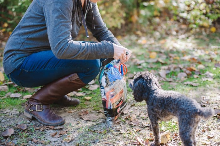 Winter is coming; you need to be prepared on the road! Tips for winter preparedness for people and pets, with Get Ready Now Road Pups & Peeps Road Pack.