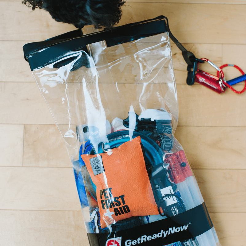 Ready or Not, Winter is Coming! | Winter Preparedness for People and Pets on the Go