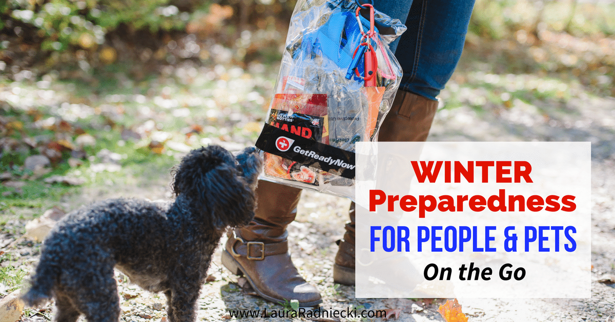 Winter is coming; you need to be prepared on the road! Tips for winter preparedness for people and pets, with Get Ready Now Road Pups & Peeps Road Pack.