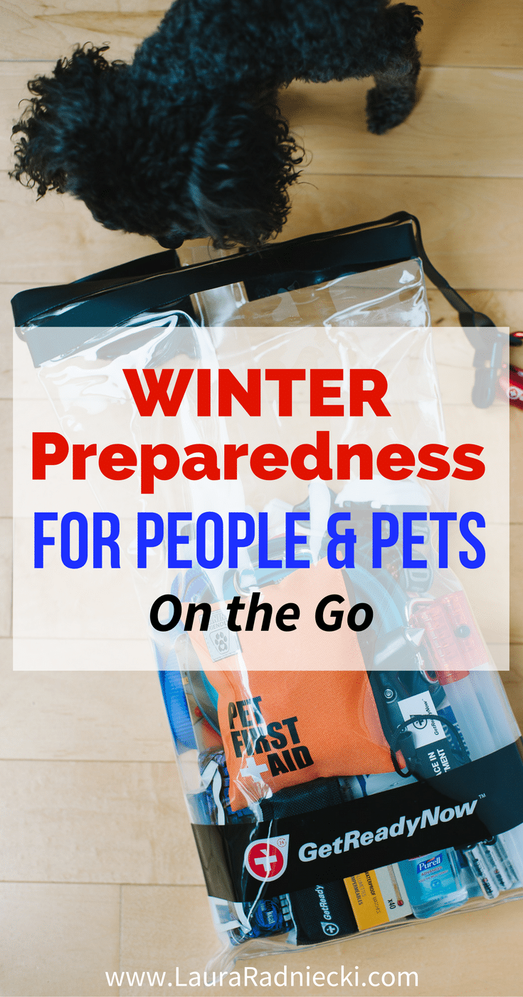 Winter is coming; you need to be prepared on the road! Tips for winter preparedness for people and pets, with Get Ready Now Road Pups & Peeps Road Pack.