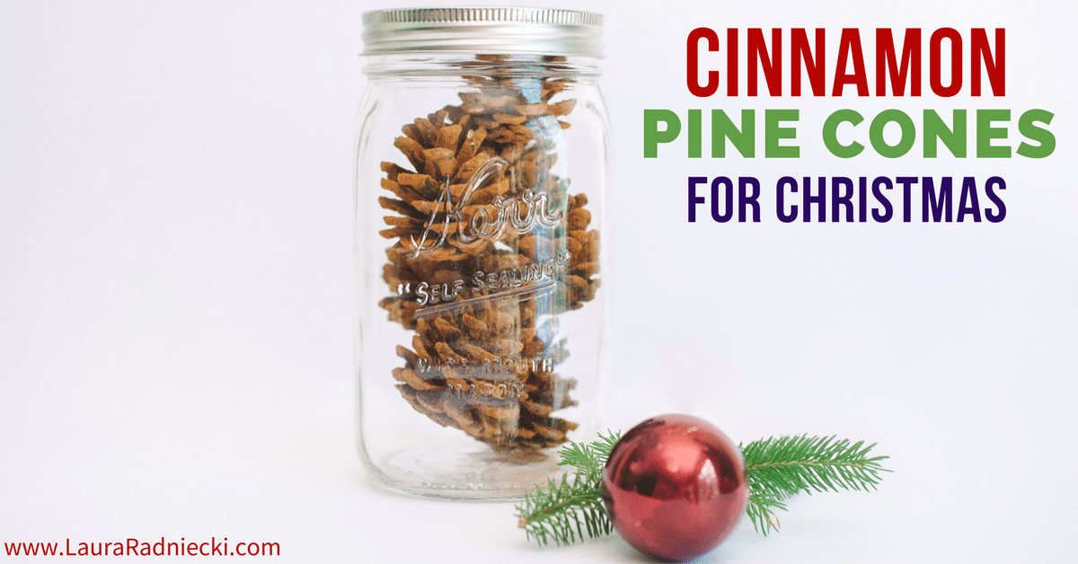 DIY Cinnamon-Scented Pine Cones