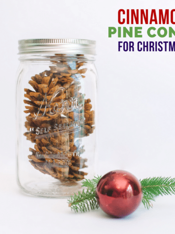 How to Make Cinnamon Pinecones - Holiday and Christmas Decor