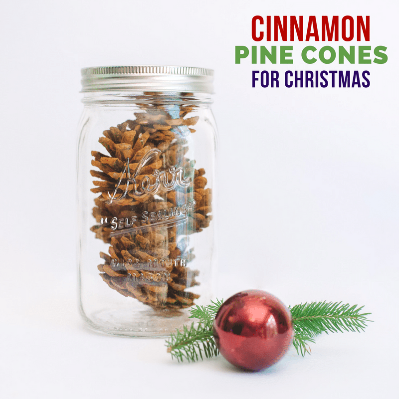 How to Make Cinnamon Pinecones | Holiday and Christmas Decor