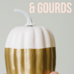 DIY Fall Pumpkins and Gourds - A Tutorial _ Spray Painted Easy Fall Decorations