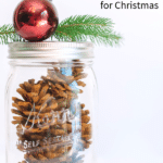 How to Make Cinnamon Pinecones for Holiday and Christmas Decor